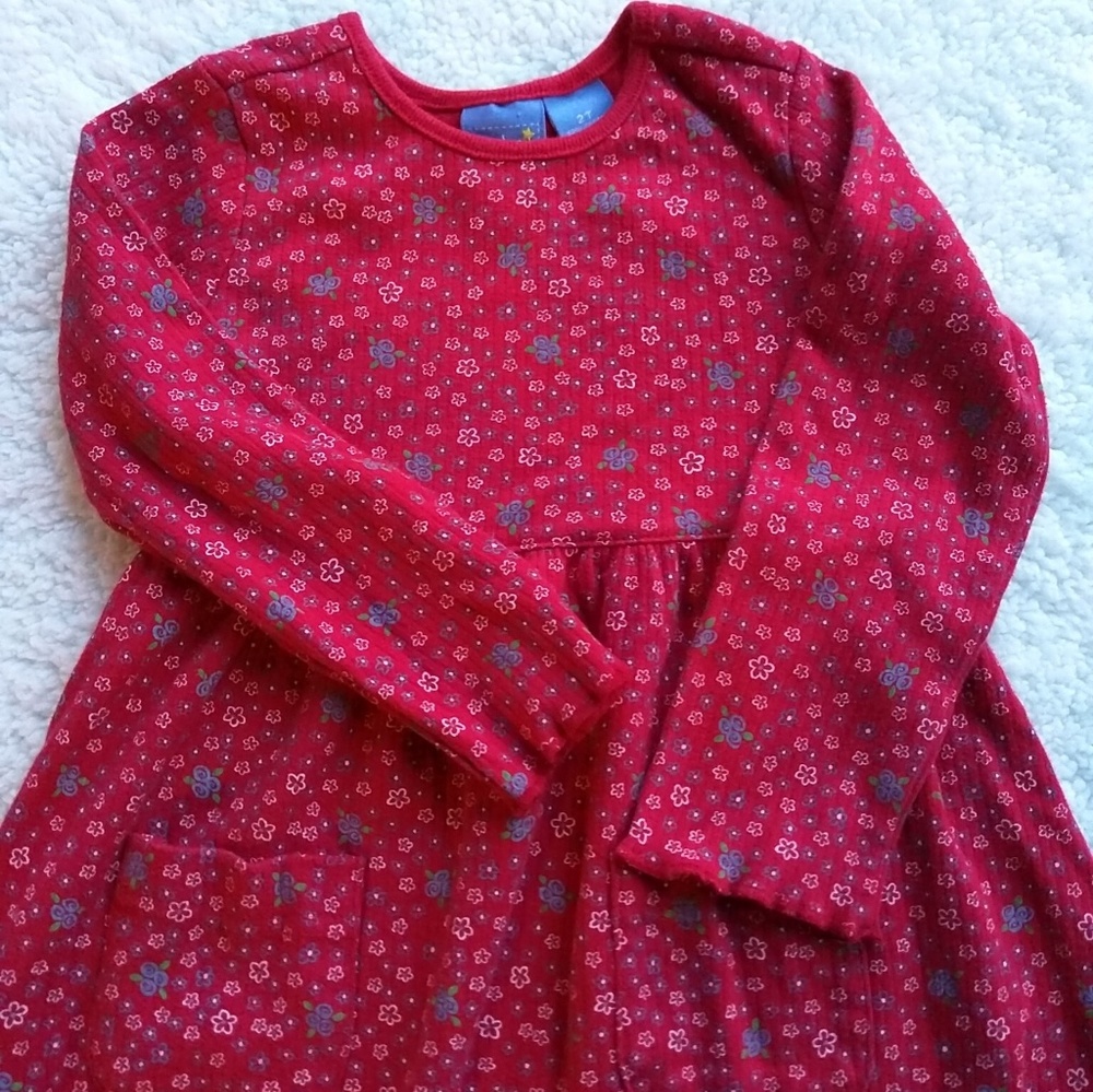 Baby Crew (Crewcuts) 2T Red Floral LS Dress